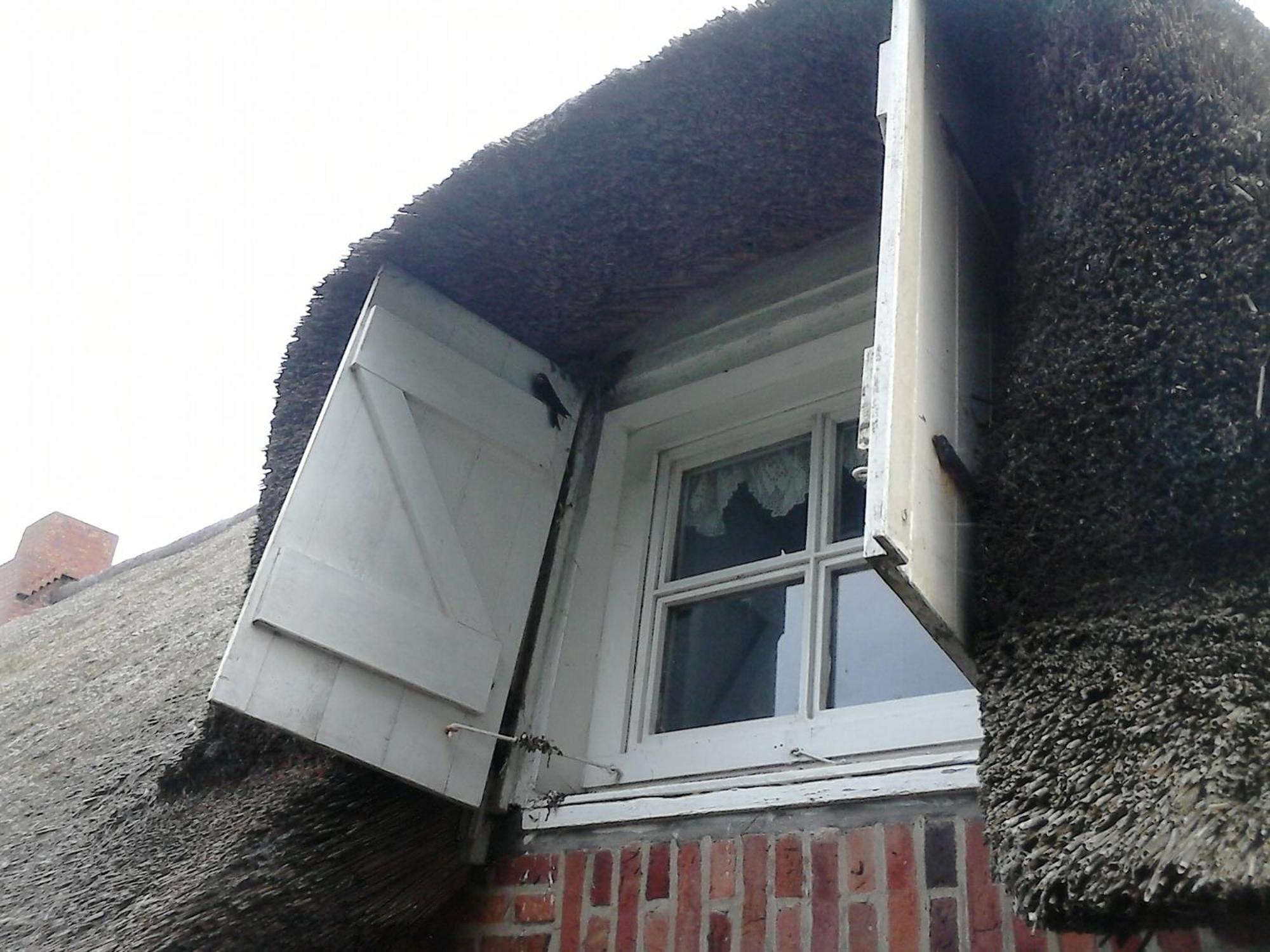 Friesenhaus Am Meer Dagebüll Exterior foto